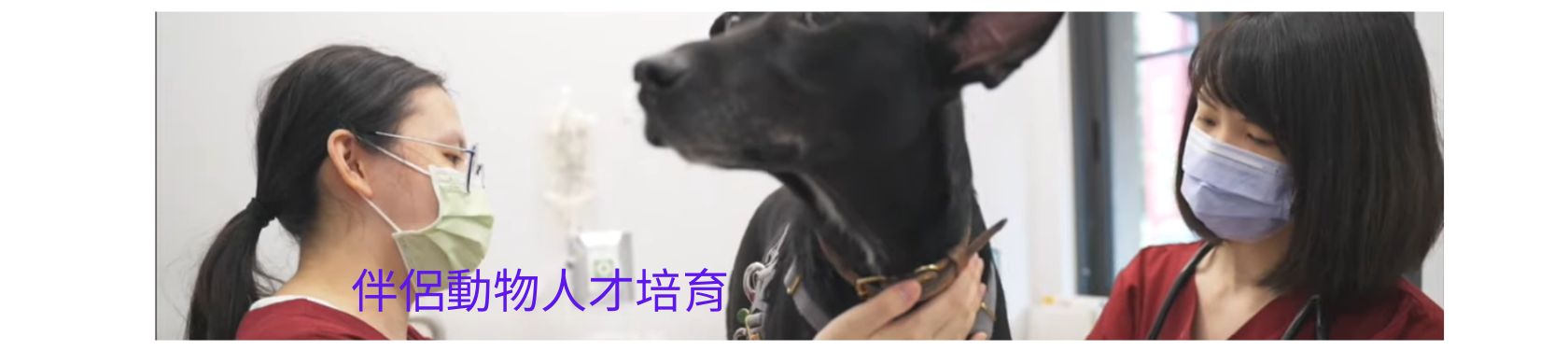 認識動物生理