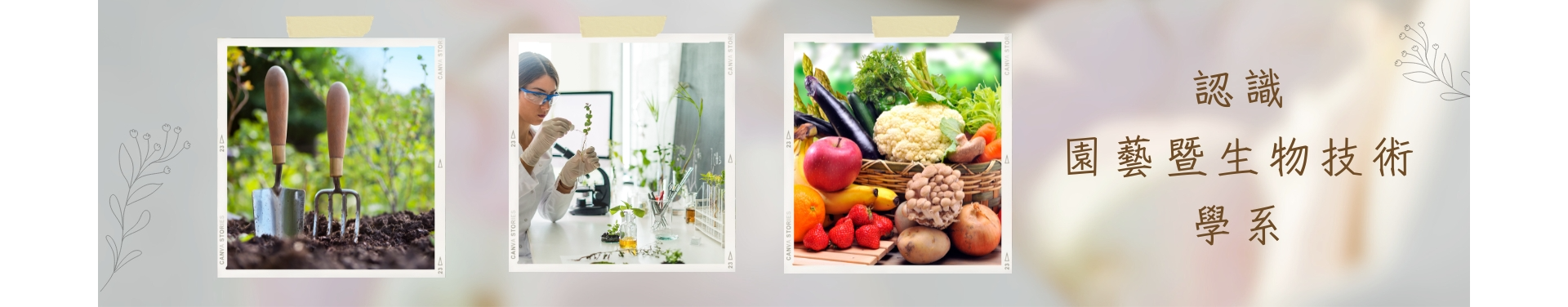 Slider_Banner_Sample2